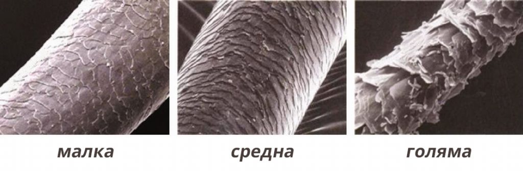 порьозност